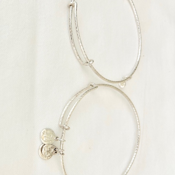 Alex and Ani Silver Tone Bangle Bracelet Spacers - Picture 2 of 4